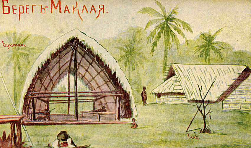 МАКЛАЙ РИС.png МАКЛАЙ РИС.png