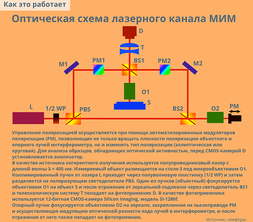 АМФ СХЕМА.png